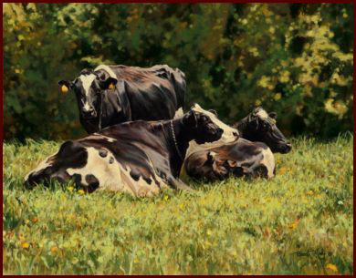 Beautiful Cow