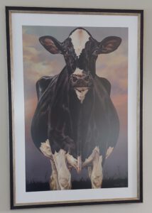 Have Holsteins ingelijst