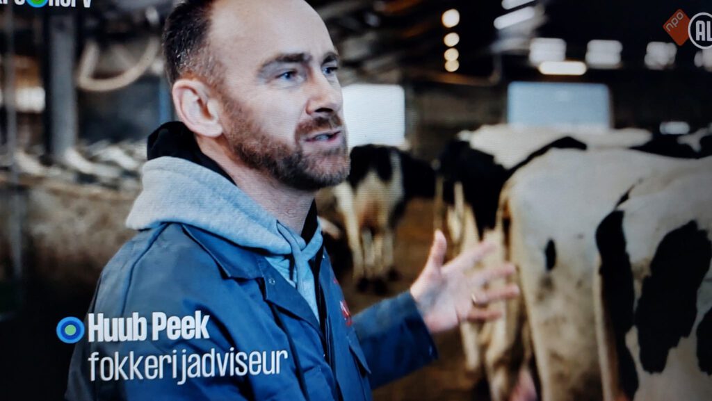 Keuringsdienst van Waarde - Huub Peek onafhankelijk fokkerijadviseur